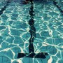 cat_piscine2